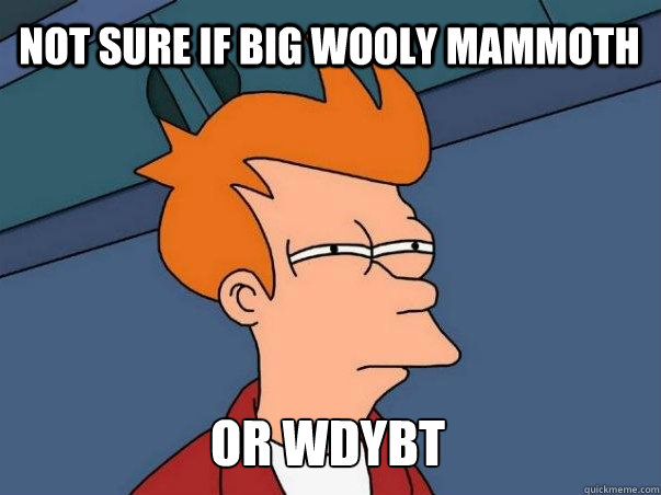NOT SURE IF BIG WOOLY MAMMOTH OR WDYBT  Not sure Fry
