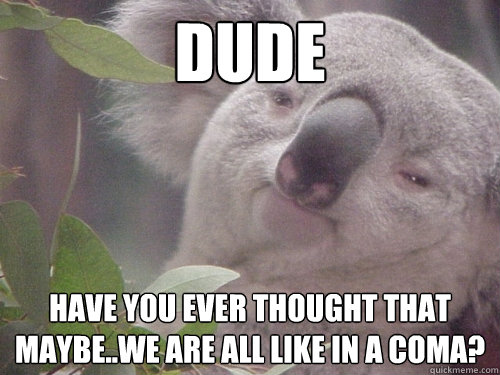 Dude have you ever thought that maybe..we are all like in a coma?  Koala