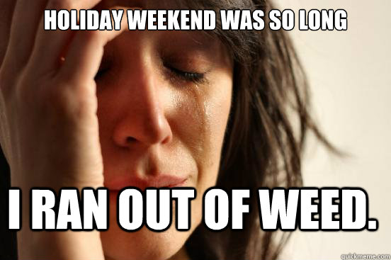 holiday weekend was so long i ran out of weed.  FirstWorldProblems
