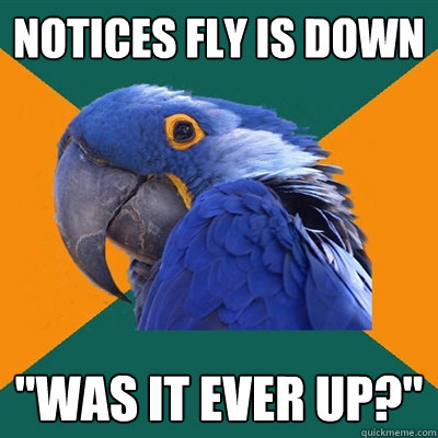 notices fly is down 