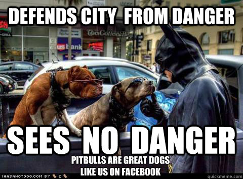 Defends city  from danger Sees  no  danger Pitbulls are Great Dogs 
Like us on facebook  Pitbulls Are Great Dogs