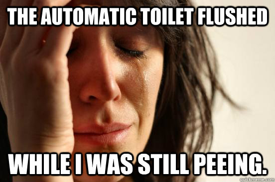 The automatic toilet flushed while I was still peeing.  First World Problems