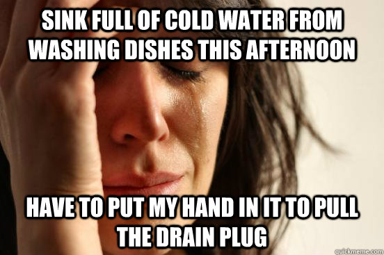 sink full of cold water from washing dishes this afternoon have to put my hand in it to pull the drain plug  First World Problems