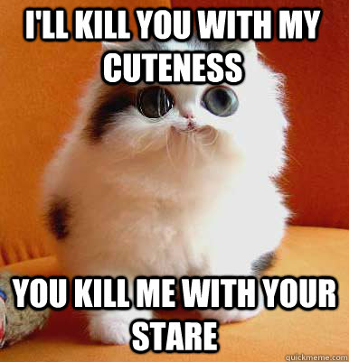 I'll kill you with my cuteness You kill me with your stare  
