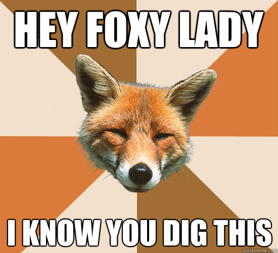 HEY FOXY LADY I KNOW YOU DIG THIS  Condescending Fox