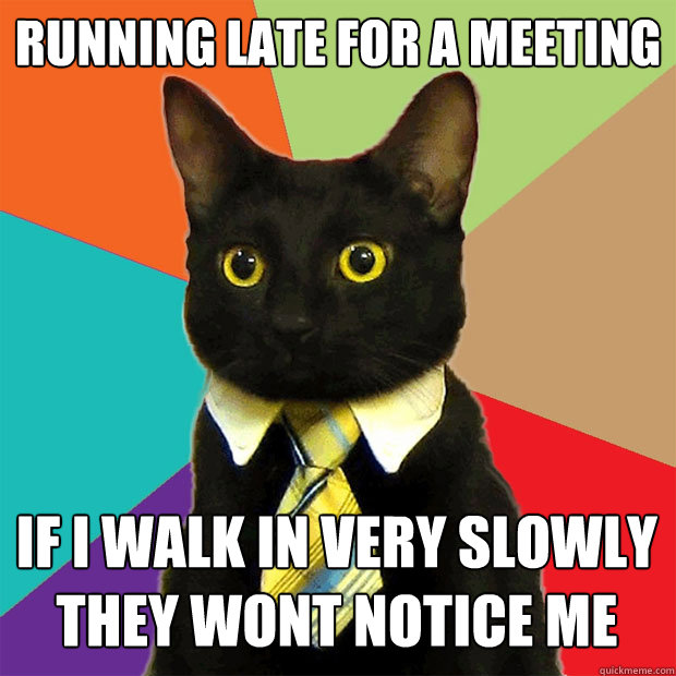 Running late for a meeting If I walk in very slowly they wont notice me - Running late for a meeting If I walk in very slowly they wont notice me  Business Cat