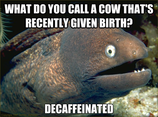 what do you call a cow that's recently given birth? decaffeinated  Bad Joke Eel
