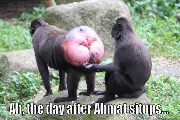 baboon bum -  AH, THE DAY AFTER ABMAT SITUPS... Misc