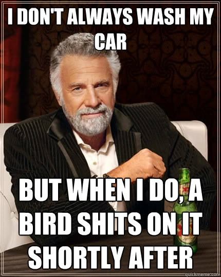 I don't always wash my car But when I do, a bird shits on it shortly after  The Most Interesting Man In The World