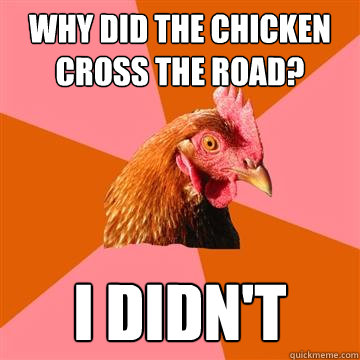 why did the chicken cross the road? I didn't  Anti-Joke Chicken