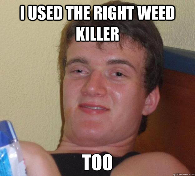 I used the right weed killer too  10 Guy