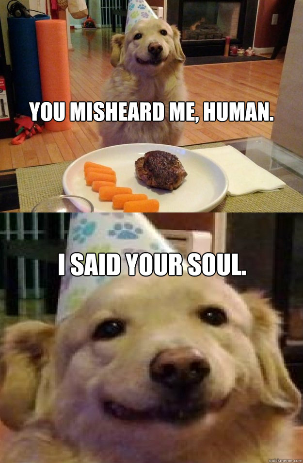 You misheard me, human. I said your soul. - You misheard me, human. I said your soul.  Displeased Dog
