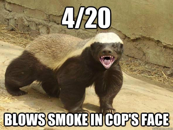 4/20 Blows Smoke in cop's face  Indifferent Honey Badger
