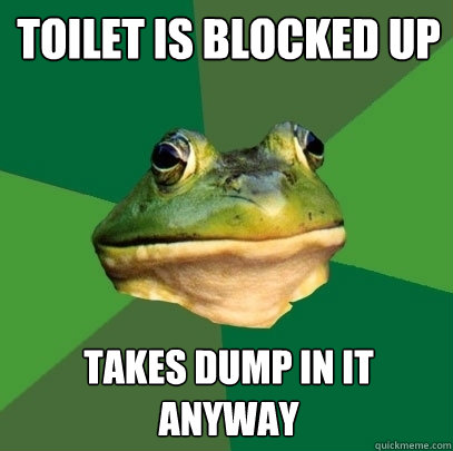 Toilet is blocked up takes dump in it anyway  Foul Bachelor Frog