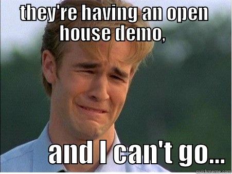 THEY'RE HAVING AN OPEN HOUSE DEMO,            AND I CAN'T GO… 1990s Problems