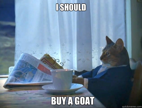 I Should Buy A Goat  The One Percent Cat