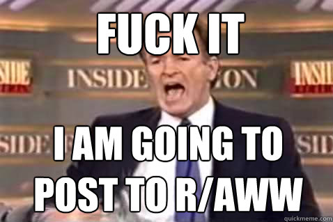 fuck it I am going to post to R/AWW  Fuck It Bill OReilly