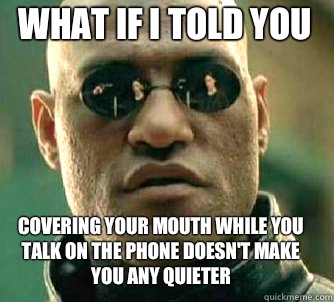 what if i told you Covering your mouth while you talk on the phone doesn't make you any quieter  Matrix Morpheus