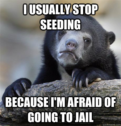I usually stop seeding because i'm afraid of going to jail  Confession Bear