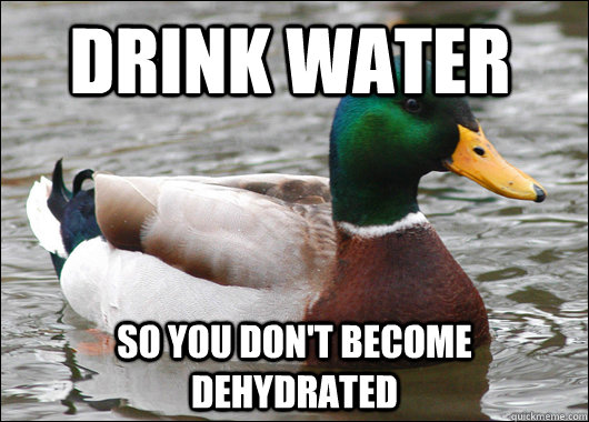 Drink water So you don't become dehydrated - Drink water So you don't become dehydrated  Actual Advice Mallard