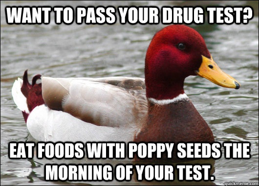 Want to pass your drug test? Eat foods with poppy seeds the morning of your test.  Malicious Advice Mallard