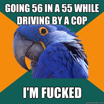 Going 56 in a 55 while driving by a cop I'm fucked  Paranoid Parrot