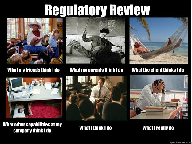 Regulatory Review What my friends think I do What my parents think I do What the client thinks I do What other capabilities at my company think I do What I think I do What I really do  What People Think I Do