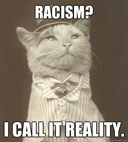 Racism? I call it Reality.  Aristocat