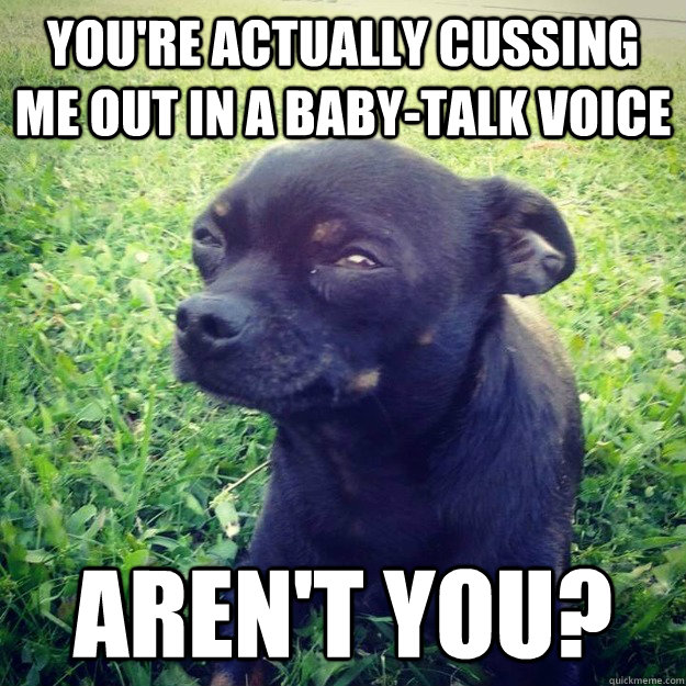 you're actually cussing me out in a baby-talk voice aren't you? - you're actually cussing me out in a baby-talk voice aren't you?  Skeptical Dog