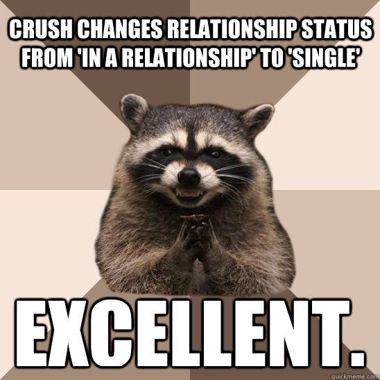 Crush changes relationship status from 'in a relationship' to 'single' Excellent.  Evil Plotting Raccoon