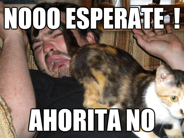 nooo esperate  ! ahorita no - nooo esperate  ! ahorita no  Cats are jerks