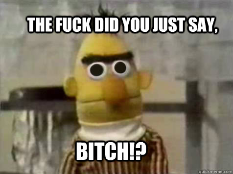 THE FUCK DID YOU JUST SAY, BITCH!? - THE FUCK DID YOU JUST SAY, BITCH!?  Angry Bert