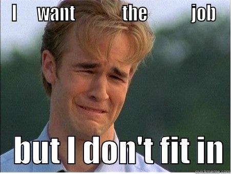 I      WANT              THE             JOB    BUT I DON'T FIT IN 1990s Problems