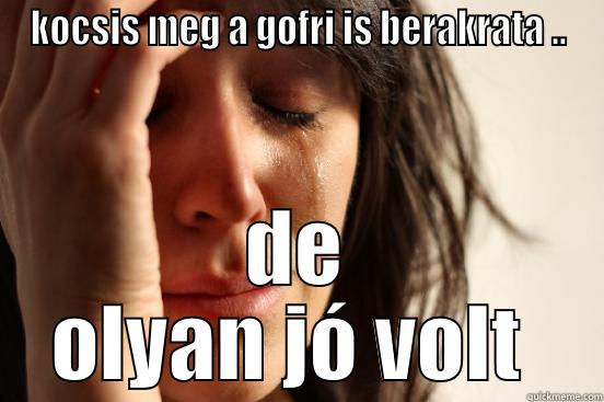KOCSIS MEG A GOFRI IS BERAKRATA .. DE OLYAN JÓ VOLT  First World Problems