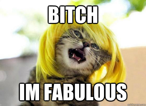 Bitch Im fabulous  - Bitch Im fabulous   Misc