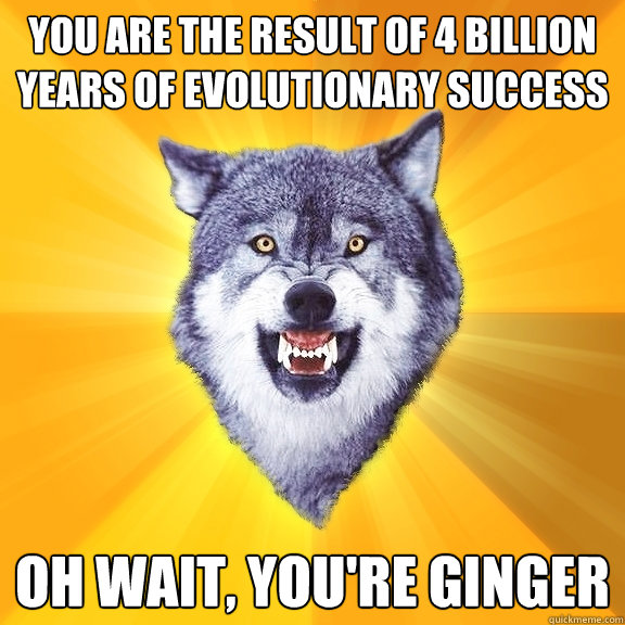 you are the result of 4 billion years of evolutionary success oh wait, you're ginger  Courage Wolf