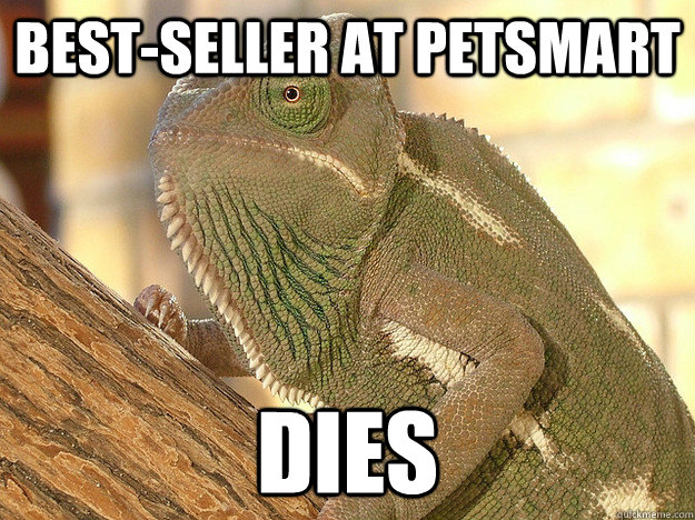 best-seller at petsmart dies  