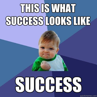 this is what success looks like success
  Success Kid