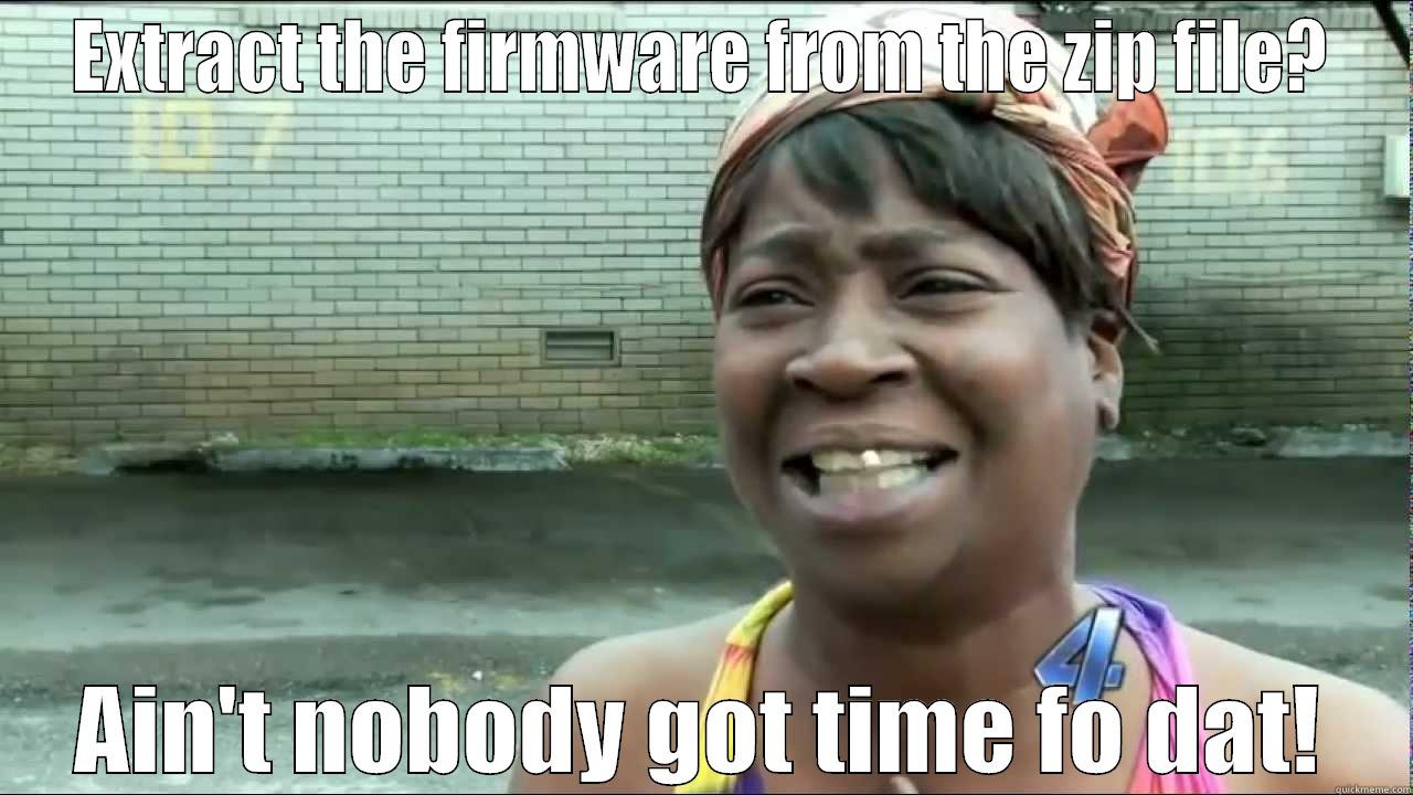 EXTRACT THE FIRMWARE FROM THE ZIP FILE? AIN'T NOBODY GOT TIME FO DAT! Misc
