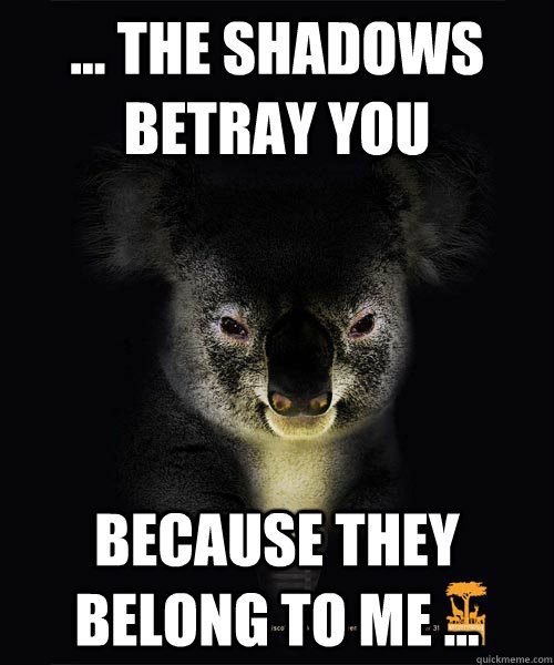 ... the shadows betray you  because they belong to me ...  Creepy Koala