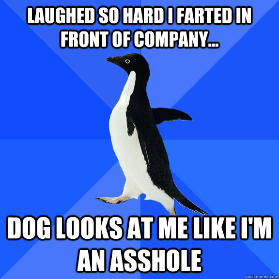 Laughed so hard I farted in front of company... Dog looks at me like I'm an asshole  Socially Awkward Penguin