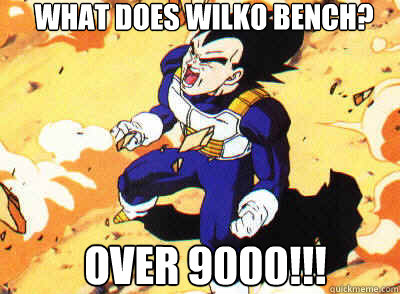 what does wilko bench? over 9000!!! - what does wilko bench? over 9000!!!  Misc