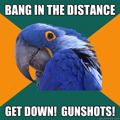 Bang in the distance get down!  Gunshots!  Paranoid Parrot