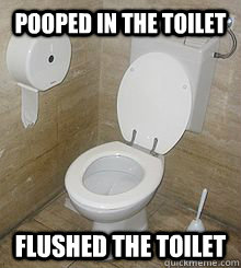 Pooped in the toilet Flushed the toilet  Toilet