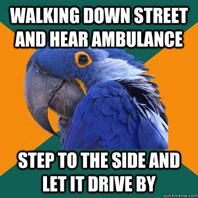 Walking down street and hear ambulance  Step to the side and let it drive by  Paranoid Parrot