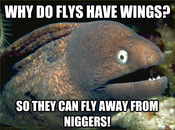 why do flys have wings? So they can fly away from niggers!  Bad Joke Eel