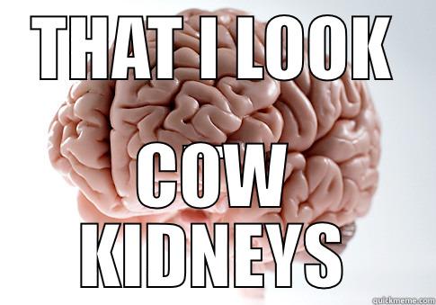 THAT I LOOK .... COW KIDNEYS Scumbag Brain