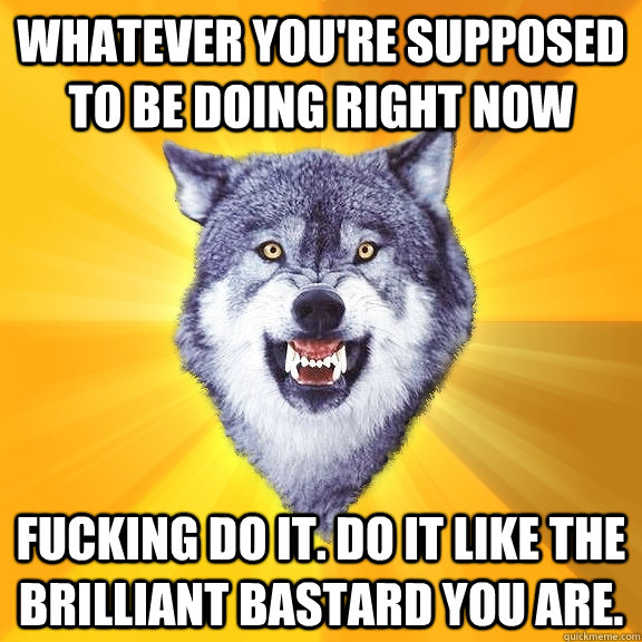 Whatever you're supposed to be doing right now Fucking do it. Do it like the brilliant bastard you are. - Whatever you're supposed to be doing right now Fucking do it. Do it like the brilliant bastard you are.  Courage Wolf