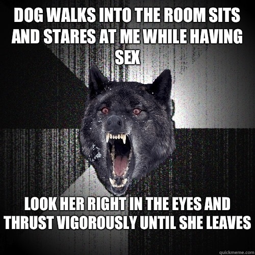 Dog walks into the room sits and stares at me while having sex Look her right in the eyes and thrust vigorously until she leaves   Insanity Wolf