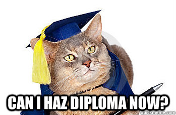  Can i haz diploma now? -  Can i haz diploma now?  graduation cat